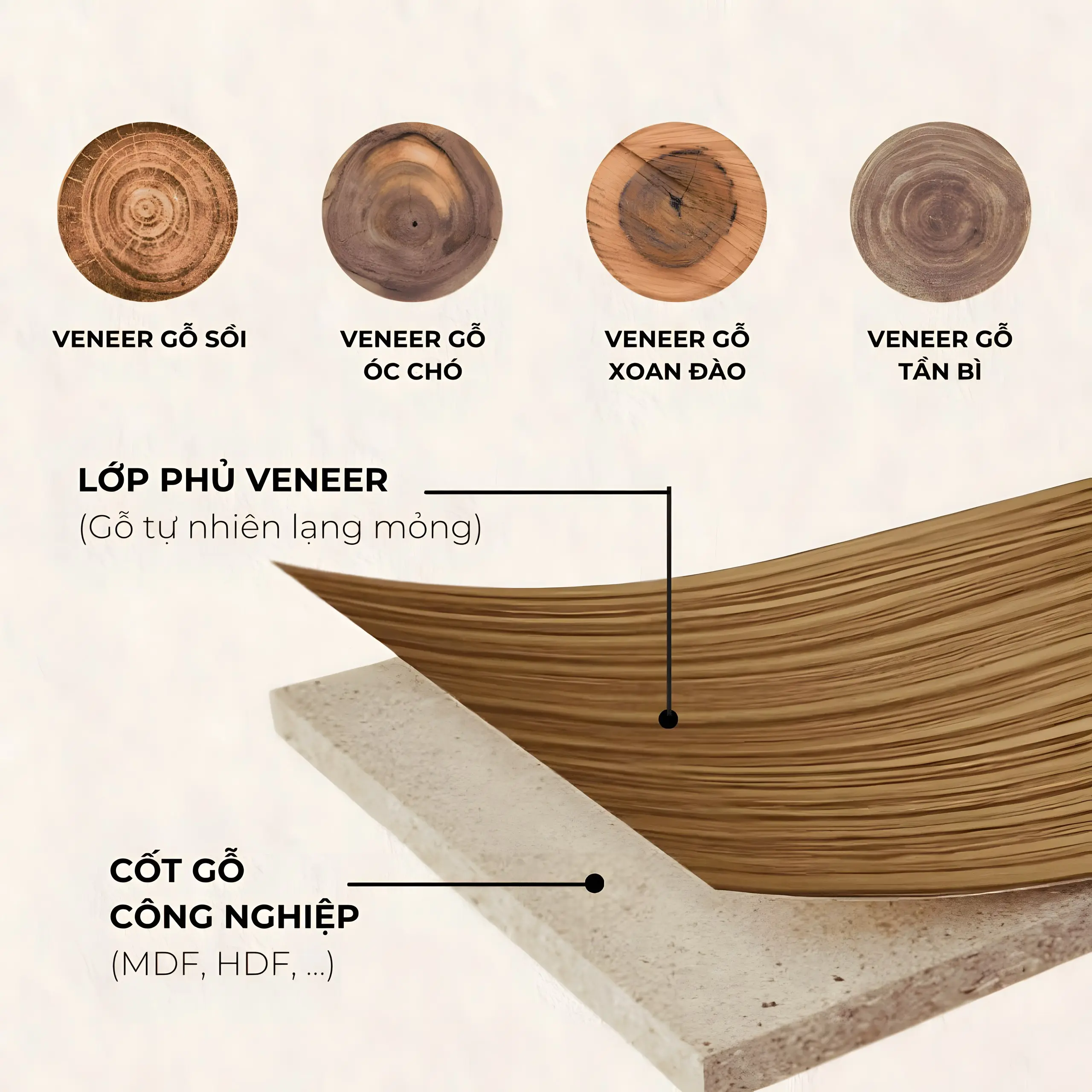 Minh hoạ bốn loại veneer gỗ sồi, óc chó, xoan đào, tần bì phủ trên cốt gỗ công nghiệp